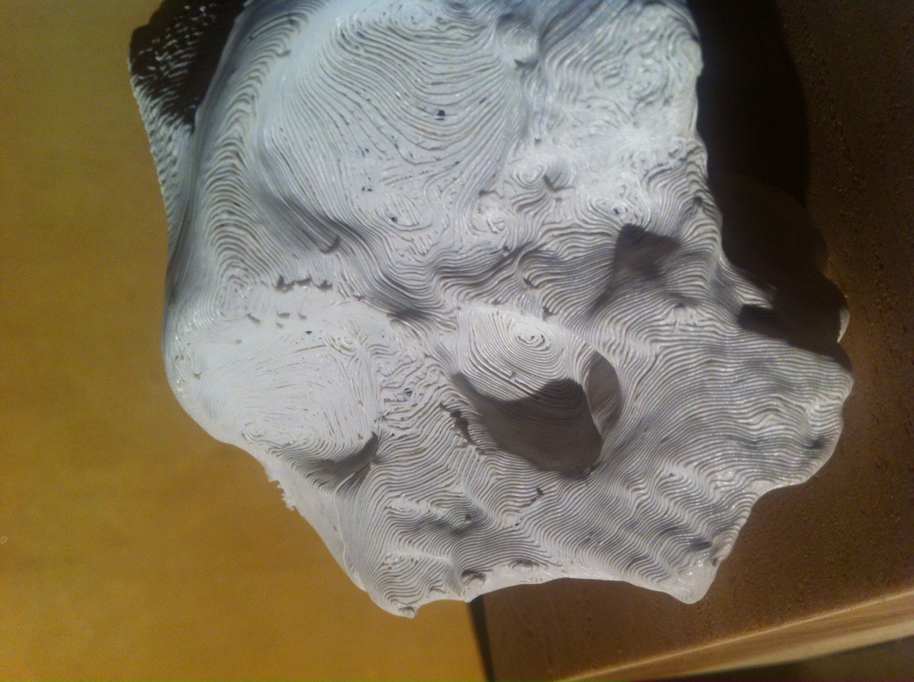 Instructions for 3D Printing | African Fossils